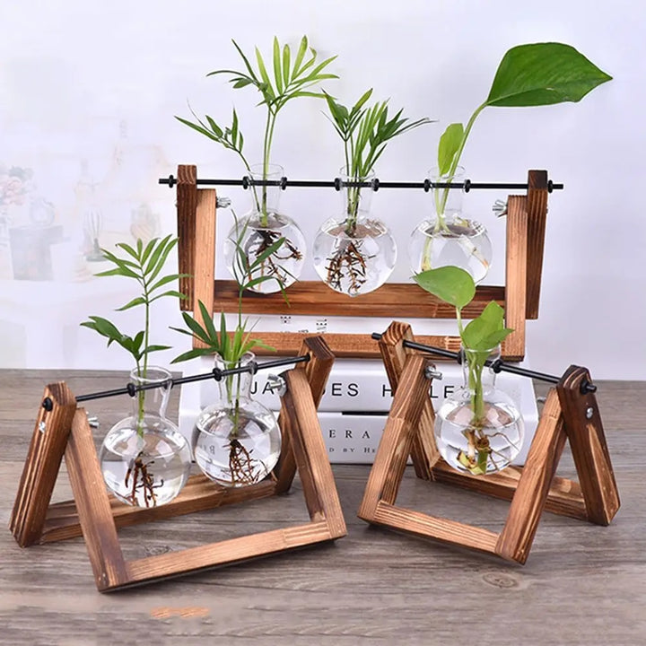 Hydroponic Plant Vases Glass Vase - Havenly Cozy